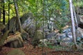 Boulder of granite rock into the tropical green jungle