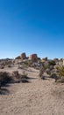 Boulder landscape on Arch Rock Nature Trail in Joshua Tree National Park Royalty Free Stock Photo