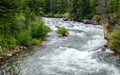 Boulder river rushing through lush forest in Montana