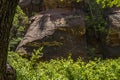 In the forest at West Fork Trail which is in Sedona, Arizona