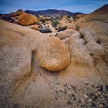 Boulder in a Wash at Joshua Tree