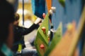 Bouldering climbing wall. Children practicing climbing during indoor training