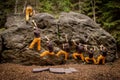 Bouldering -7 steps to the top