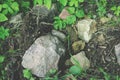 Boulders in the agricultural field