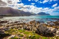 The boulders and algae of the Atlantic