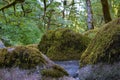 Boulders on the banks of Tanner Creek In The Columbia River Gorge