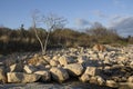 Boulders on the beach along southern coast of Connecticut.