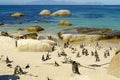 Boulders Beach Penguin beach, Cape Town South Africa