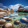 Boulders Beach, Penguin Colonies Made With Generative AI illustration