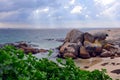 Boulders Beach, South Africa, african penguins colony Royalty Free Stock Photo