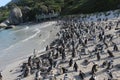 Boulders Beach - A unique Penguin beach in Cape Town South Africa