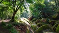 Blockfield in the forest of Huelgoat