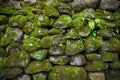 The boulders covered by green moss. Background.