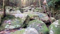 Boulders in a creek on the Stoney Creek Walk in the Strickland State Forest