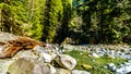 Boulders in the crystal clear water of Cascade Creek right after the falls in Cascade Falls Regional Park, British Columbia Canada