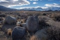 Boulders in desert valley with snowy mountain range in distance Royalty Free Stock Photo