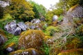 Boulders in the forest at Huelgoat in Brittany