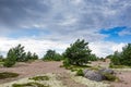 Boulders, forest, shore, evening light, sunset, clouds, blue sky and rainbow on the Baltic Sea. Royalty Free Stock Photo