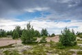 Boulders, forest, shore, evening light, sunset, clouds, blue sky and rainbow on the Baltic Sea. Royalty Free Stock Photo