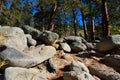 Boulders, Hill, Pine Trees, Blue Sky, Climbing, Adventure, Idaho