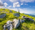 Boulders on the hillside in high mountains at sunrise Royalty Free Stock Photo