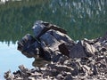 Boulders on the lake shore