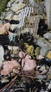 Seashore trash piled on riprap Royalty Free Stock Photo