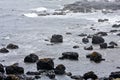 Boulders in the rain, at the Giants Causeway and Cliffs, Northern Ireland