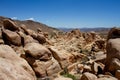 Boulders and rocks canyon overview on Arch Rock trail in Joshua Tree National Park, CA, USA. Desert. Travel concept Royalty Free Stock Photo