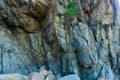 Rocky terrain with steep rough cliffs and scattered weeds. Mountain limestone rocks texture Royalty Free Stock Photo