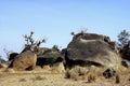 Boulders in Savanna landscape Royalty Free Stock Photo
