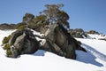 Boulders and Snow Gums, Charlotte Pass, New South Wales Royalty Free Stock Photo