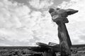 Boulders standing upright in rocky burren