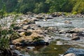 Boulders and trees along the edge of the green river in washingt Royalty Free Stock Photo