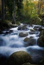 Between the boulders and the trees