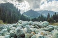 Boulders on a verry rocky rough terrain wwith pine forest and mountains in the background in Kashmir Valley of India. Mountainous