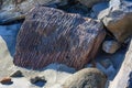 Boulders and Wood of the Columbia`s South Jetty