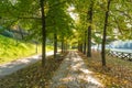 Boulevard along the Po river, Turin