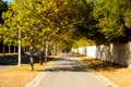 Boulevard from Carcavelos station to the beach