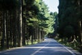 A boulevard close to nature Royalty Free Stock Photo