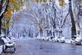 Boulevard with fallen yellow leaves and the first snow. Benches covered with snow along the alley.