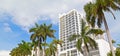 Boulevard in Miami Beach, Florida, USA with tall palms and white buildings. Royalty Free Stock Photo