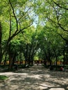 Boulevard towards XiYuan Temple at SuZhou C