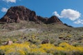 Boundary Cone in Western Arizona, Spring wildflowers Royalty Free Stock Photo