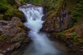 Gentle Waterfalls and Creek In Heavily Forested Western Washington State