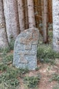 Boundary marker on rock at forest