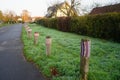 Boundary roadside poles decorated with knitted products against the background of grass with hoarfrost in November. Berlin