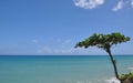 boundary between sky and the ocean