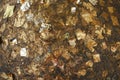 Boundary stone surface fullfill with gold sheet  boundary stone Royalty Free Stock Photo