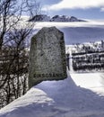 The boundary stone on Sweden Norway state border in mountains, forest glade marking it, close view